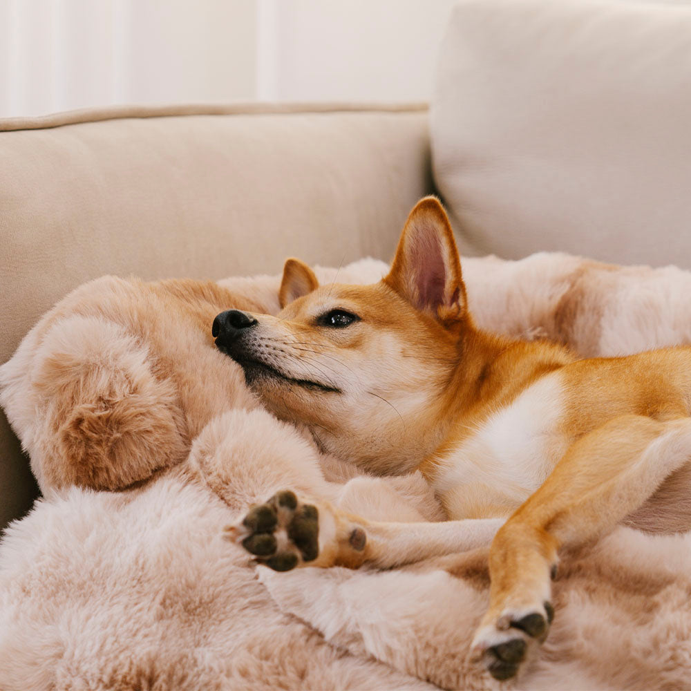 Pet Sofa Protector With Plush Fabric and Non-Slip Backing
