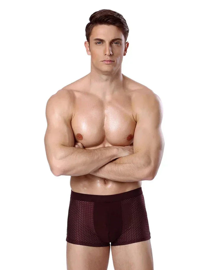 Joshua Fitted Thigh-Length Bamboo Boxer Briefs | Geometric Mesh Boxer Briefs