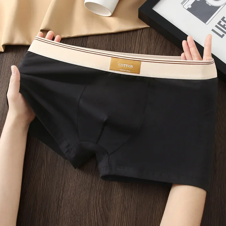 Noah Fitted Boxer Briefs Three-Piece Set | Solid Short Boxer Briefs